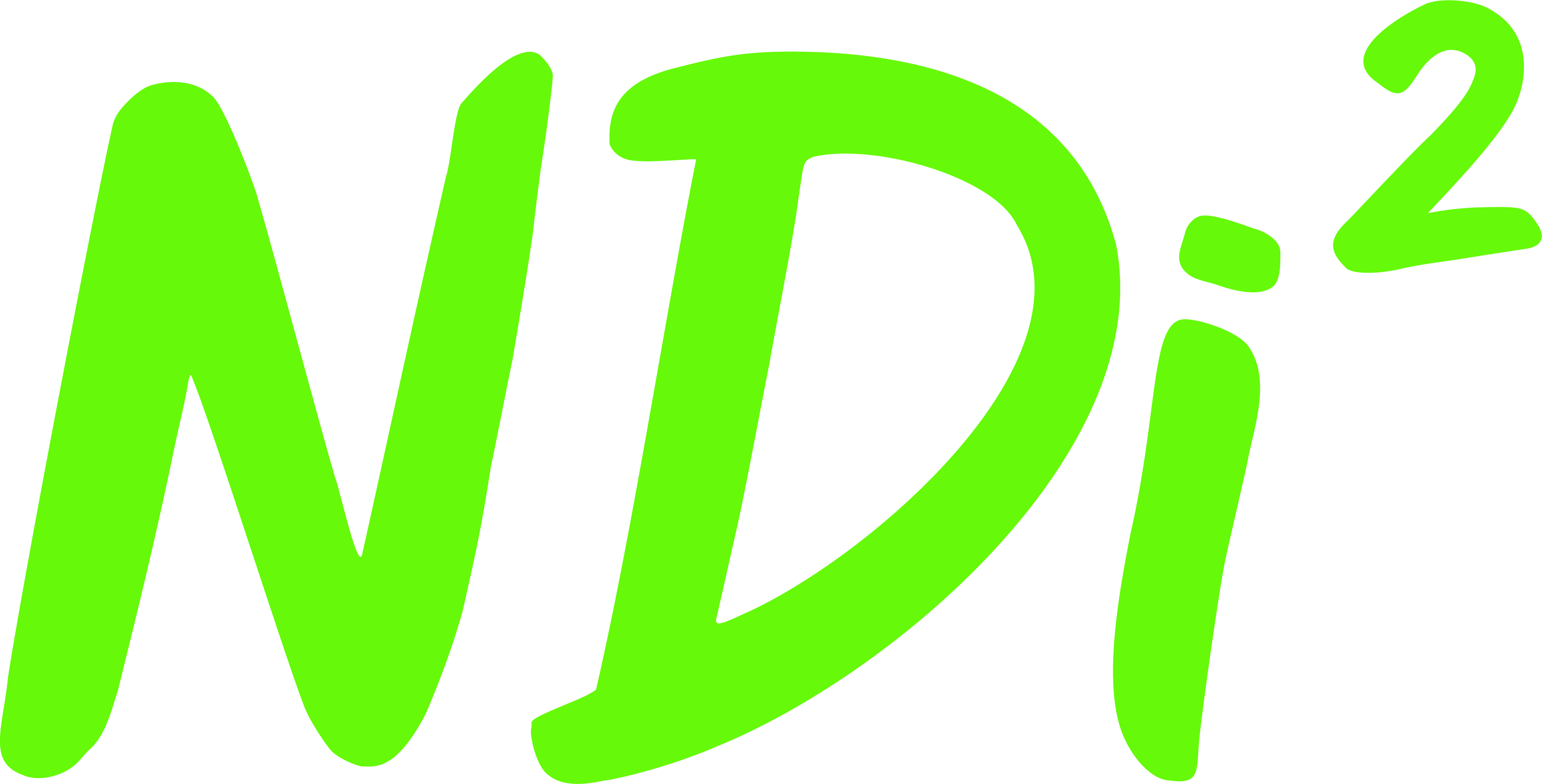 NDI2 logo